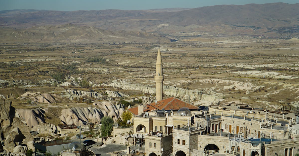 découvrez nos services spécialisés en insémination de dindes pour améliorer la reproduction et la productivité de votre élevage de volailles.