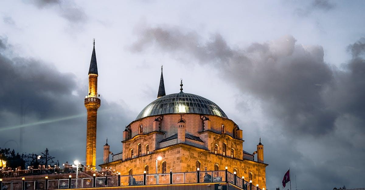 expert en insémination de dindes : améliorez la reproduction avec des techniques professionnelles et efficaces.