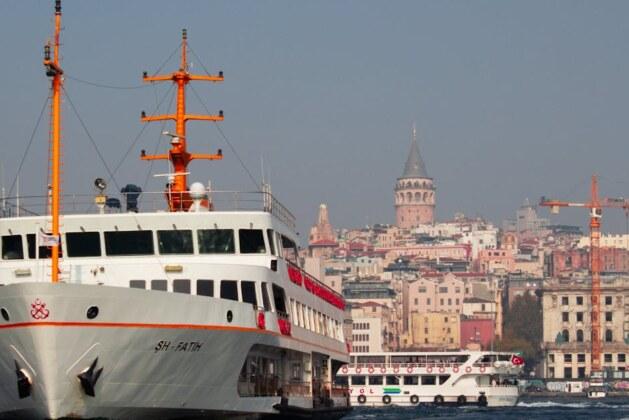Métier insolite : le rôle surprenant d’un masturbateur de dindons