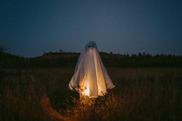 Comment identifier les signes de décès chez une tortue ?