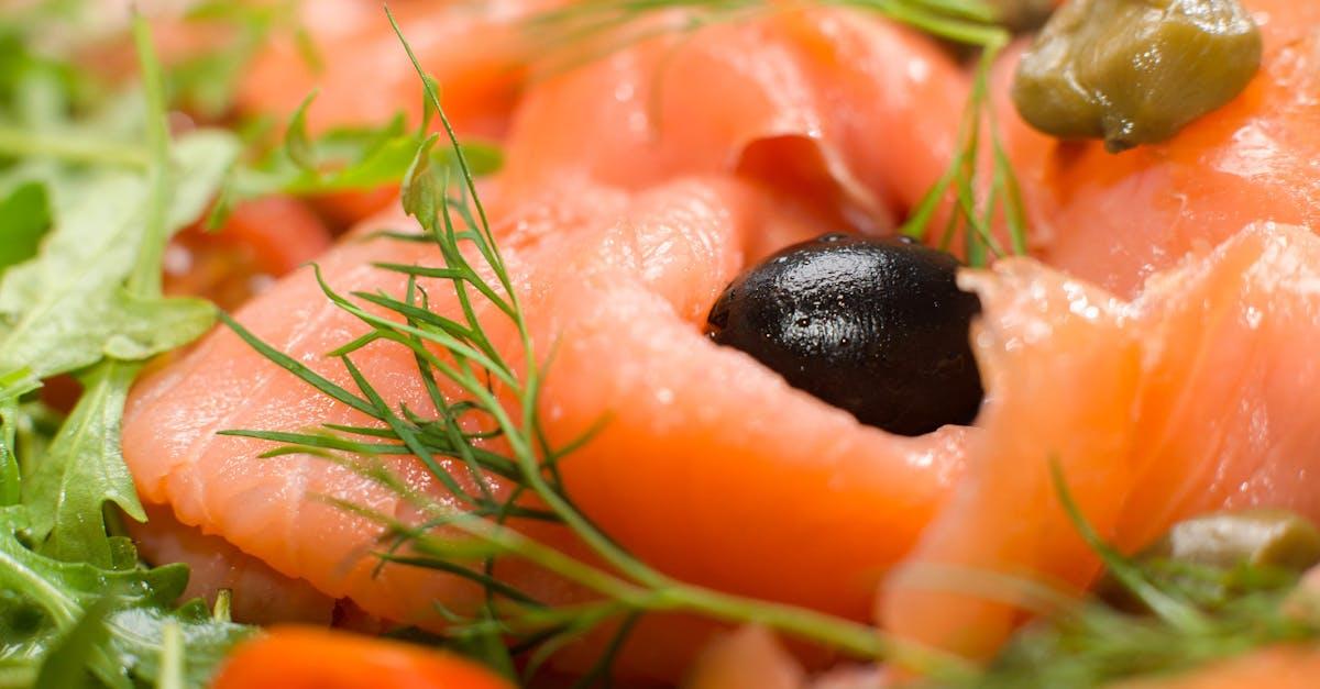 découvrez les conseils essentiels pour une alimentation équilibrée et saine adaptée aux tortues, favorisant leur santé et leur longévité.