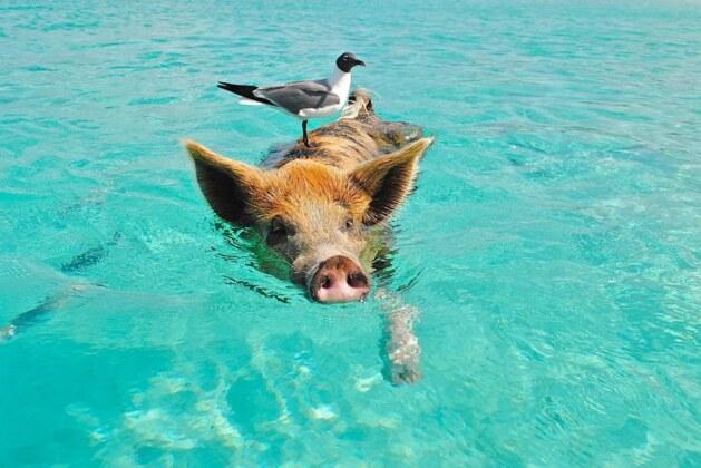 Quelles sont les phobies les plus étranges révélées par la science ?