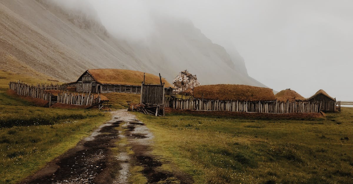 découvrez l'univers passionnant des vikings : culture, histoire, conquêtes et légendes des célèbres guerriers nordiques.