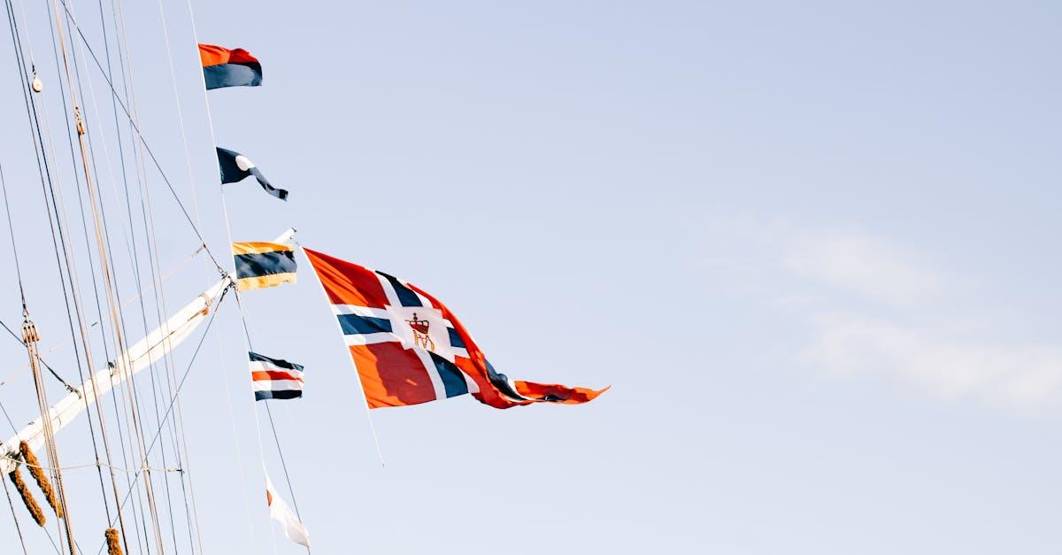 découvrez l'univers fascinant des vikings, leurs légendes, leur histoire et leur influence sur le monde moderne.