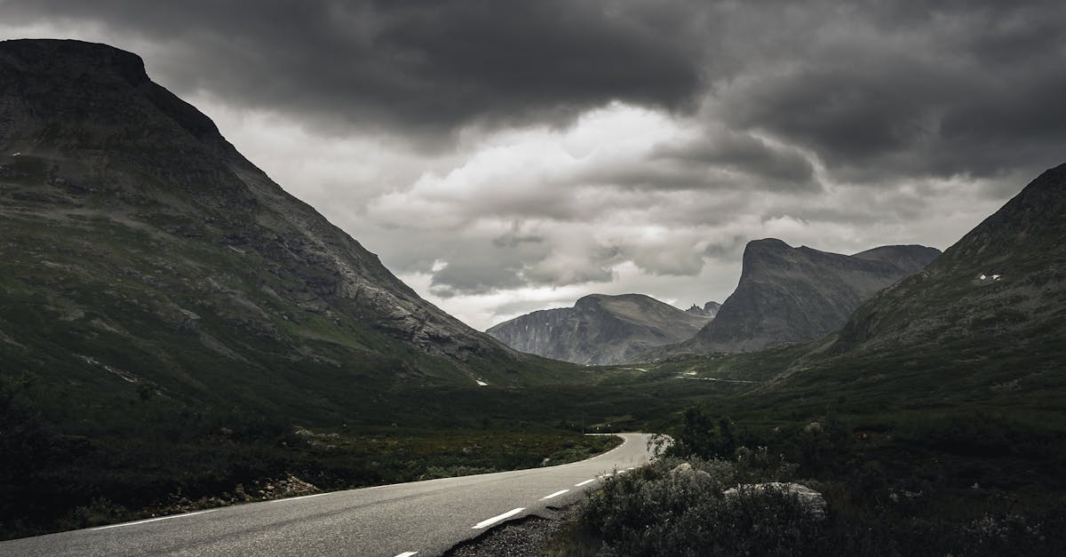 découvrez l'univers captivant des vikings, guerriers légendaires du nord, explorateurs audacieux et maîtres de la navigation médiévale.