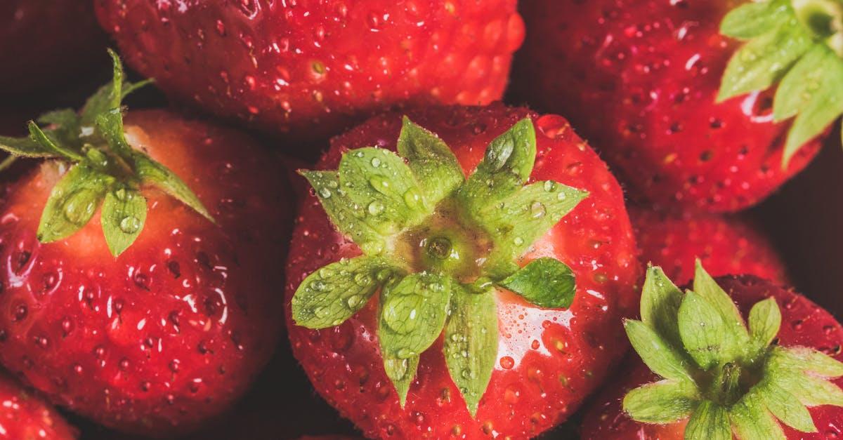 découvrez notre sélection de nourriture humide pour chats, riche en nutriments et délicieuse, pour offrir à votre félin une alimentation saine et savoureuse.