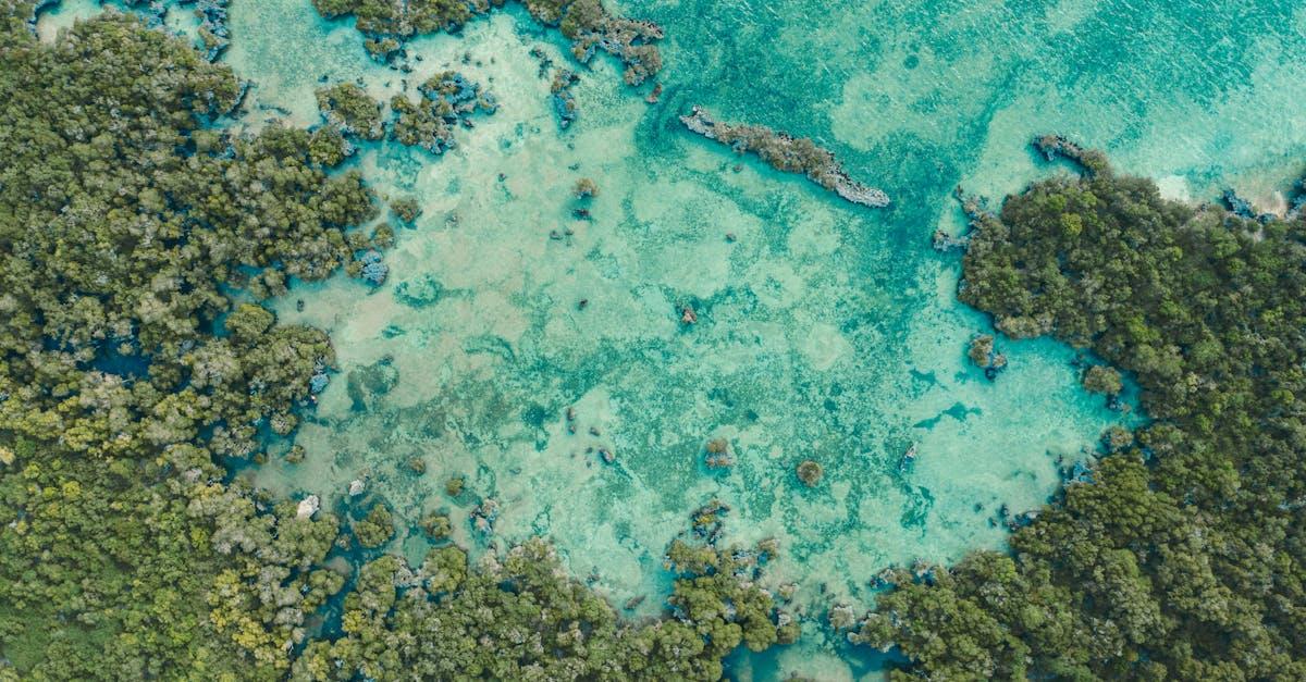 découvrez zanzibar, une île paradisiaque aux plages de sable blanc, eaux turquoise et culture riche, idéale pour des vacances inoubliables.