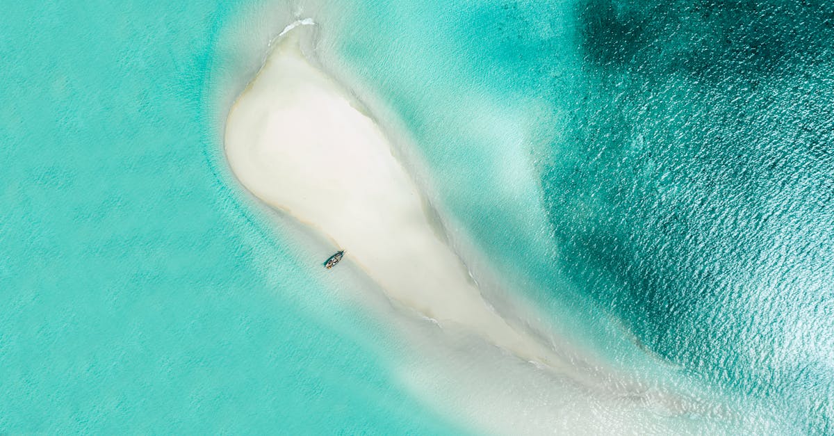 découvrez zanzibar, une île paradisiaque aux plages de sable blanc, eaux turquoise et riche patrimoine culturel. parfait pour des vacances inoubliables entre détente et exploration.