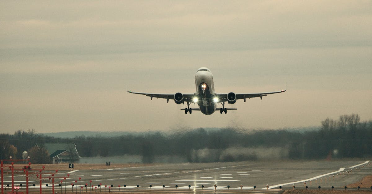 découvrez tout sur la bosse d'avion, une caractéristique aérodynamique unique qui améliore la performance et la stabilité des avions modernes.