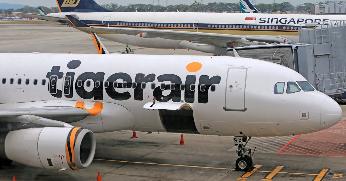 découvrez tout sur le 'airplane hump', cette bosse caractéristique sur certains avions, son utilité et son impact sur le design aéronautique.