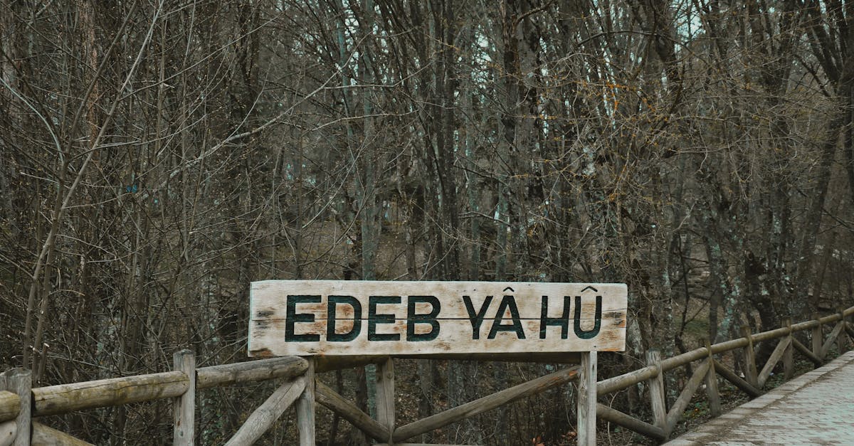découvrez l'origine de la langue bretonne, une langue celtique riche en histoire et culture, parlée en bretagne depuis des siècles.