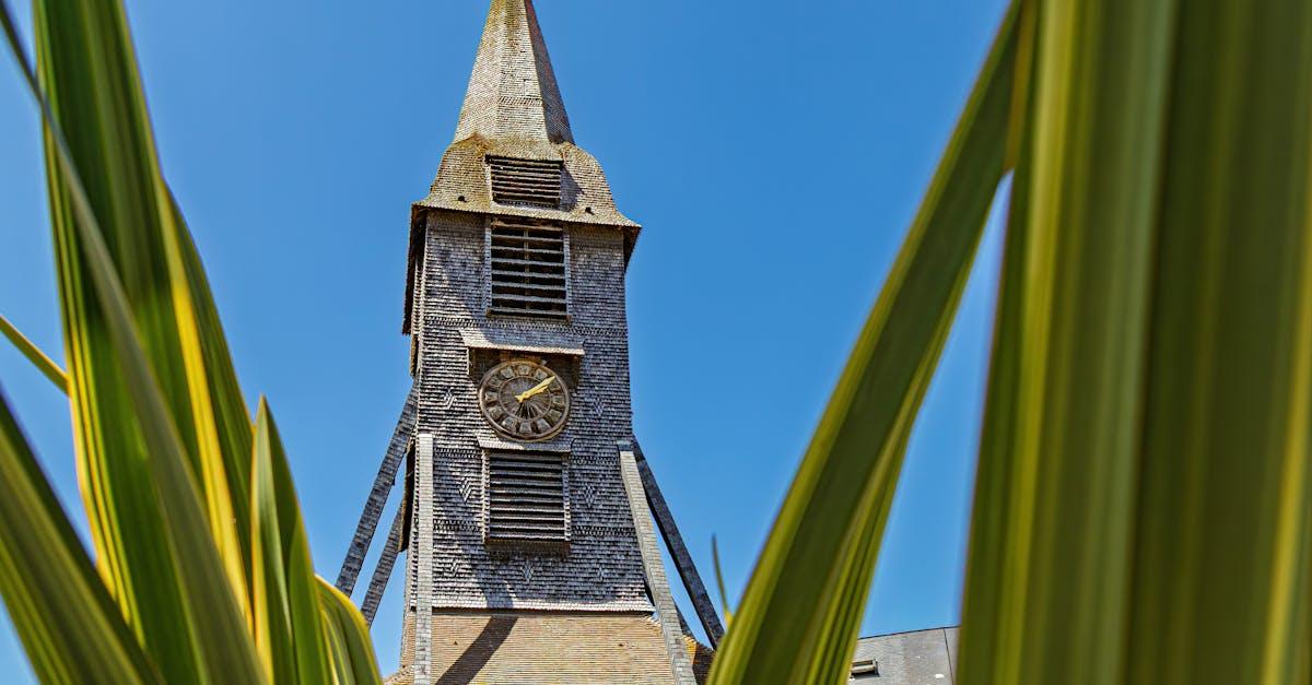découvrez comment adopter un capybara en france en toute légalité, conseils pratiques et informations essentielles pour accueillir cet animal unique chez vous.