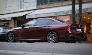 Est-il légal d&rsquo;adopter un capybara en France ?