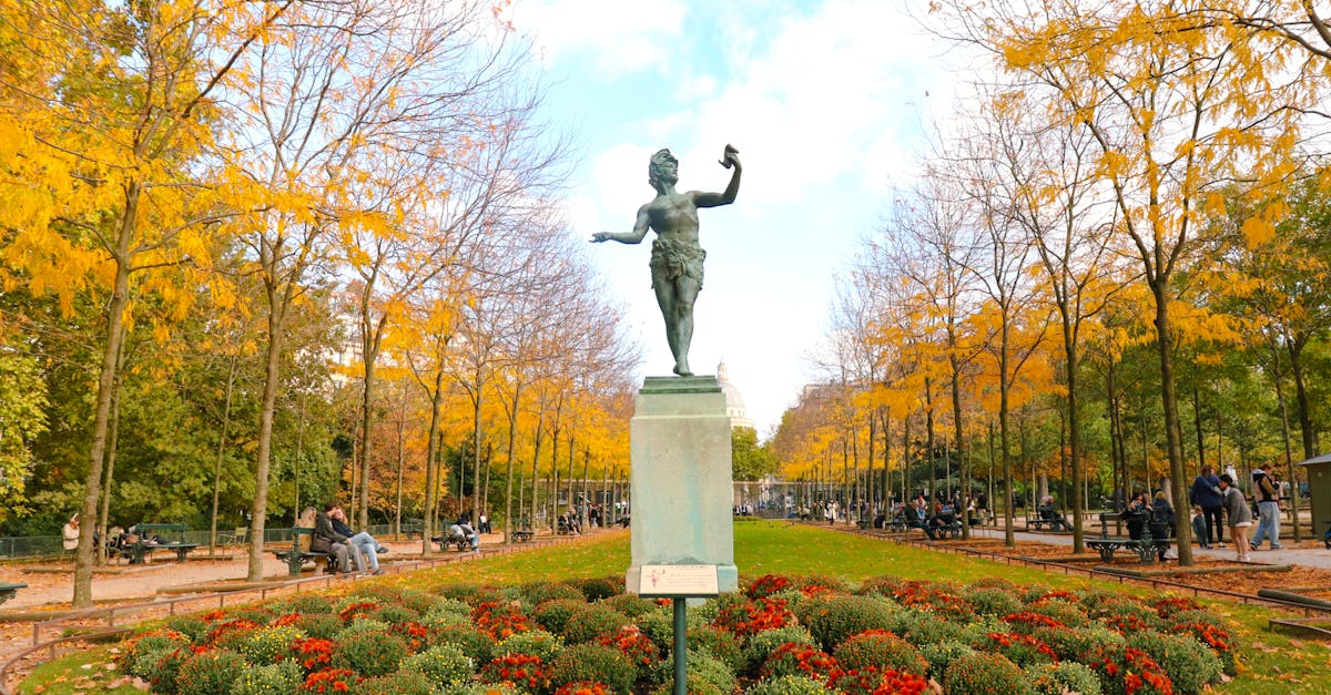 découvrez comment adopter un capybara en france, les conseils essentiels et les démarches légales pour accueillir ce rongeur unique chez vous.