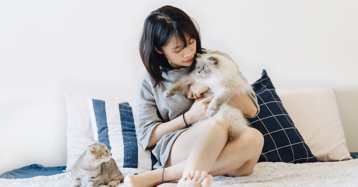 découvrez le mystère des neuf vies des chats, entre croyances populaires et faits fascinants sur ces animaux étonnants.