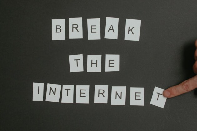 C&rsquo;est moi qui l&rsquo;ai fait ou l&rsquo;a fait : Comment choisir la bonne formule ?