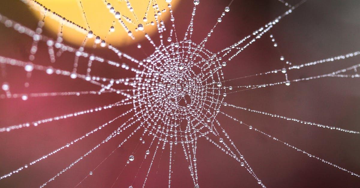 découvrez tout sur la connection : conseils, astuces et solutions pour optimiser votre connexion internet et rester toujours connecté.