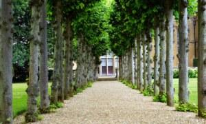 Quand commencent les journées à s&rsquo;allonger ?