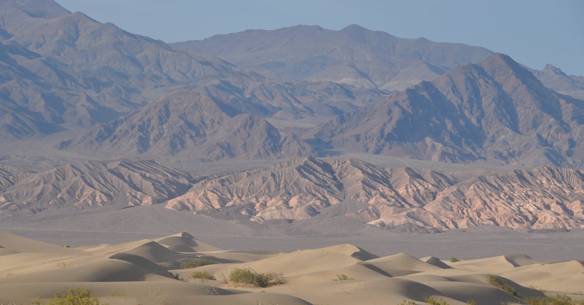 durée du traitement vermifuge : informations essentielles sur la période recommandée pour éliminer efficacement les parasites intestinaux.