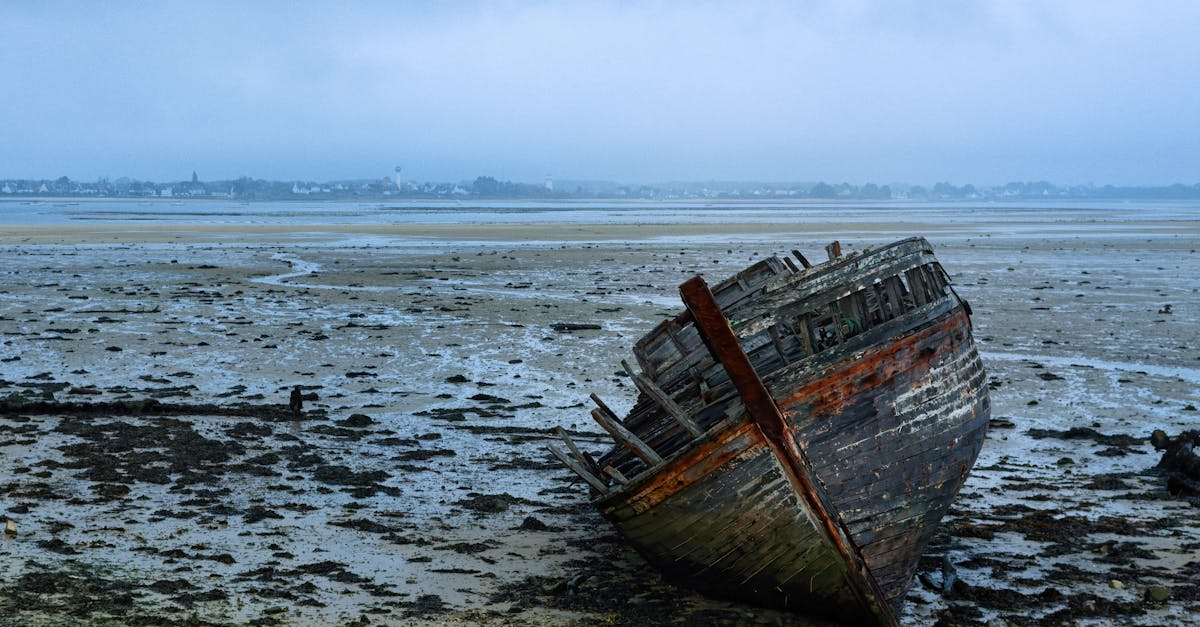 découvrez l'histoire fascinante de la france, de la préhistoire à l'époque moderne, et explorez les événements clés qui ont façonné la nation.