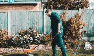 Cultiver son potager pour réduire ses dépenses : un investissement malin ?