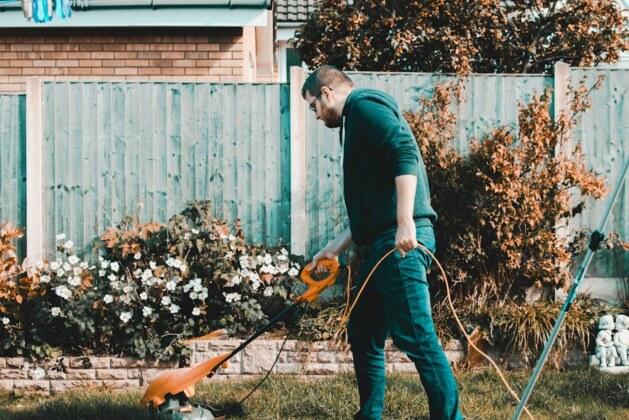 Cultiver son potager pour réduire ses dépenses : un investissement malin ?