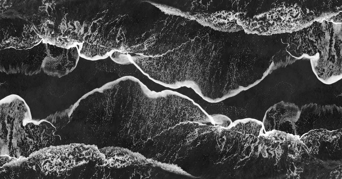 découvrez la participation d'israël à l'eurovision : histoire, performances et moments marquants de ce pays au célèbre concours de chant européen.