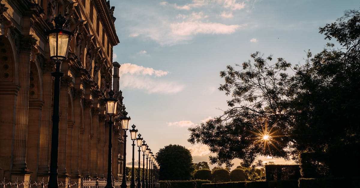 découvrez les plus grands départements français par superficie, leur géographie, leur patrimoine et leurs caractéristiques uniques.