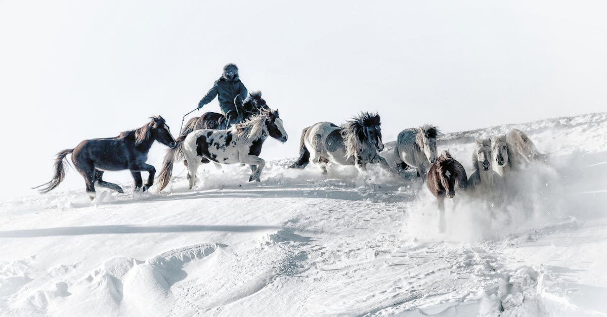 découvrez malcolm in the middle, la série comique culte qui suit les aventures déjantées d'un adolescent surdoué et de sa famille hors du commun.