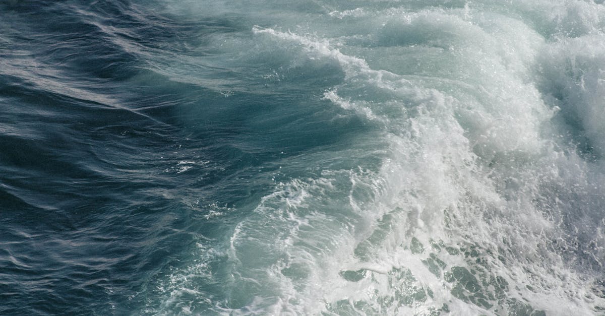 découvrez 'malcolm in the middle', une série comique américaine qui suit les aventures d'un garçon surdoué dans une famille chaotique et pleine d'humour.