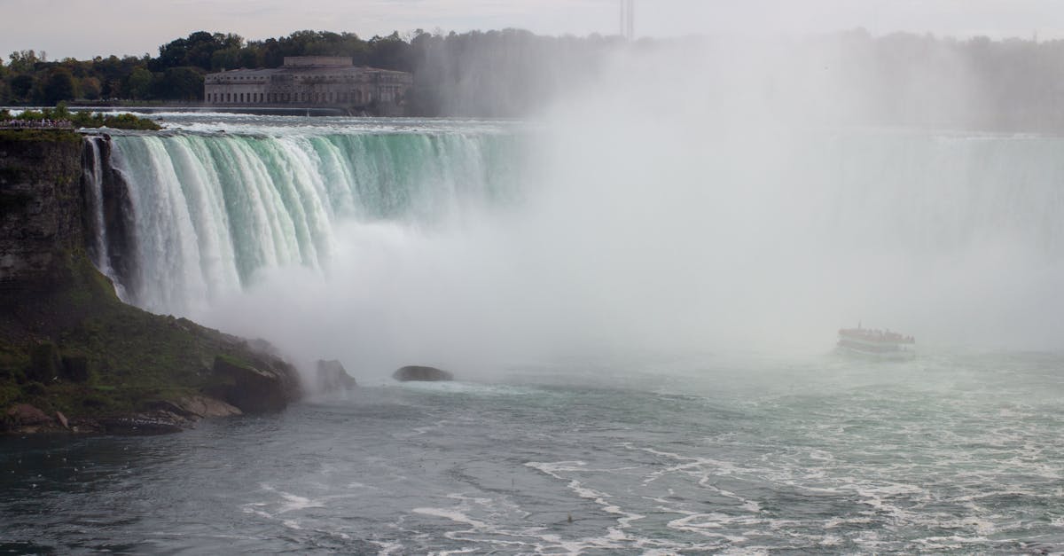 découvrez les pokémon les plus puissants, leurs caractéristiques et astuces pour maîtriser ces créatures légendaires dans vos combats.