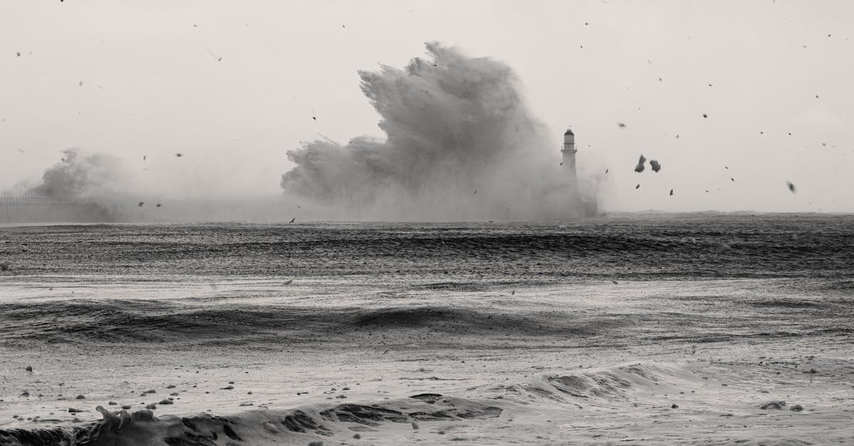 découvrez quels sont les pokémon les plus puissants et comment maximiser leur potentiel pour dominer vos combats.