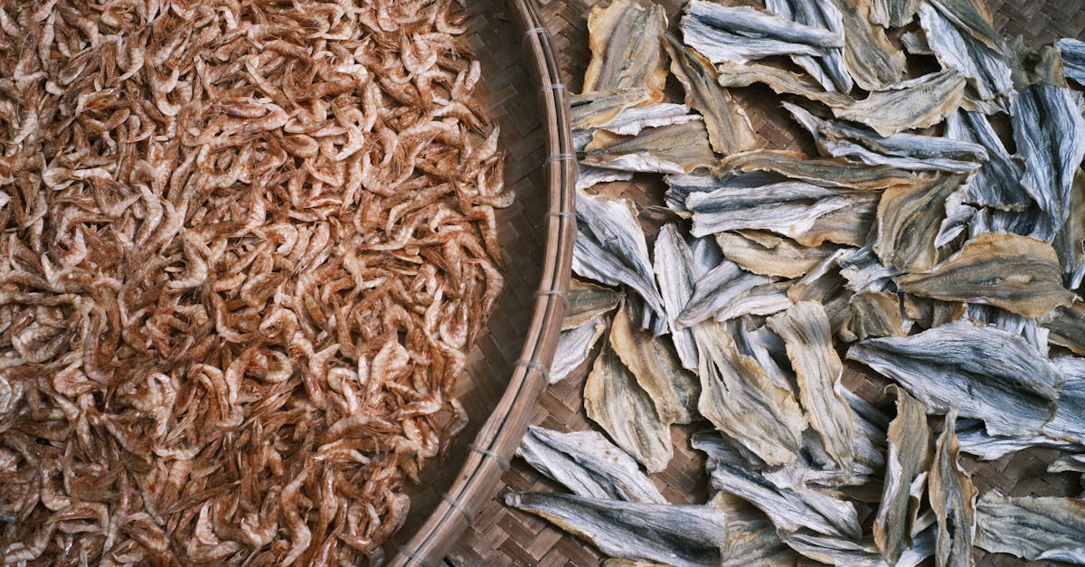 découvrez l'origine fascinante de nos produits et plongez dans leur histoire unique qui fait toute la différence.