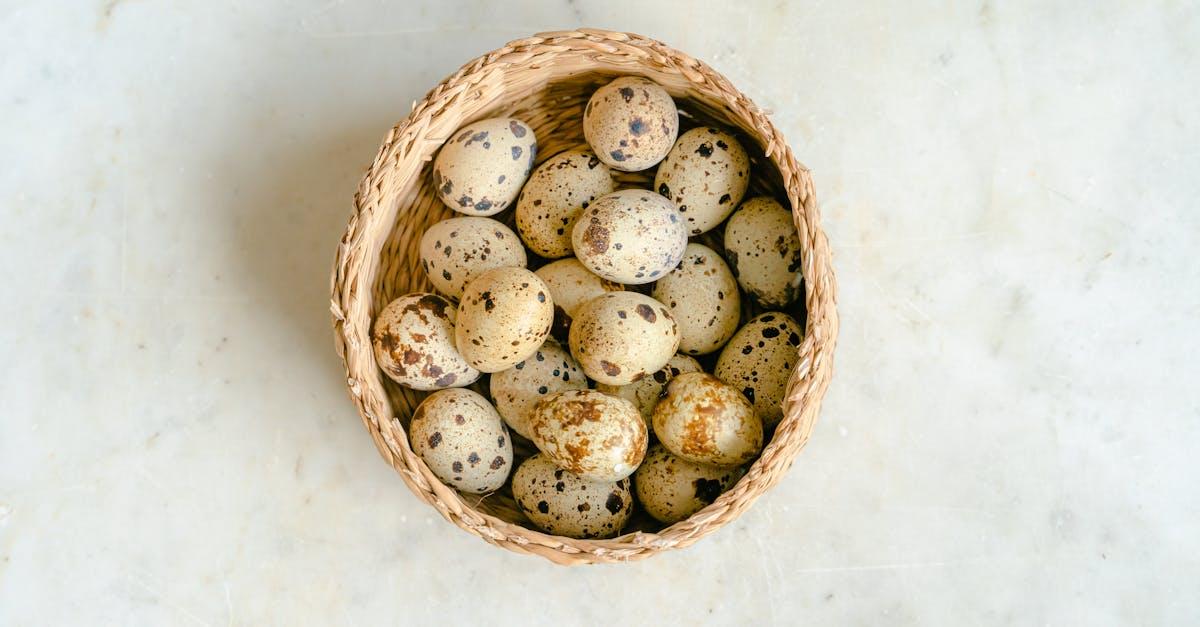 découvrez la teneur en protéines de l'œuf, un aliment riche en nutriments essentiels pour une alimentation saine et équilibrée.