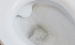 Pourquoi appelle-t-on les WC &lsquo;VC&rsquo; en français ?