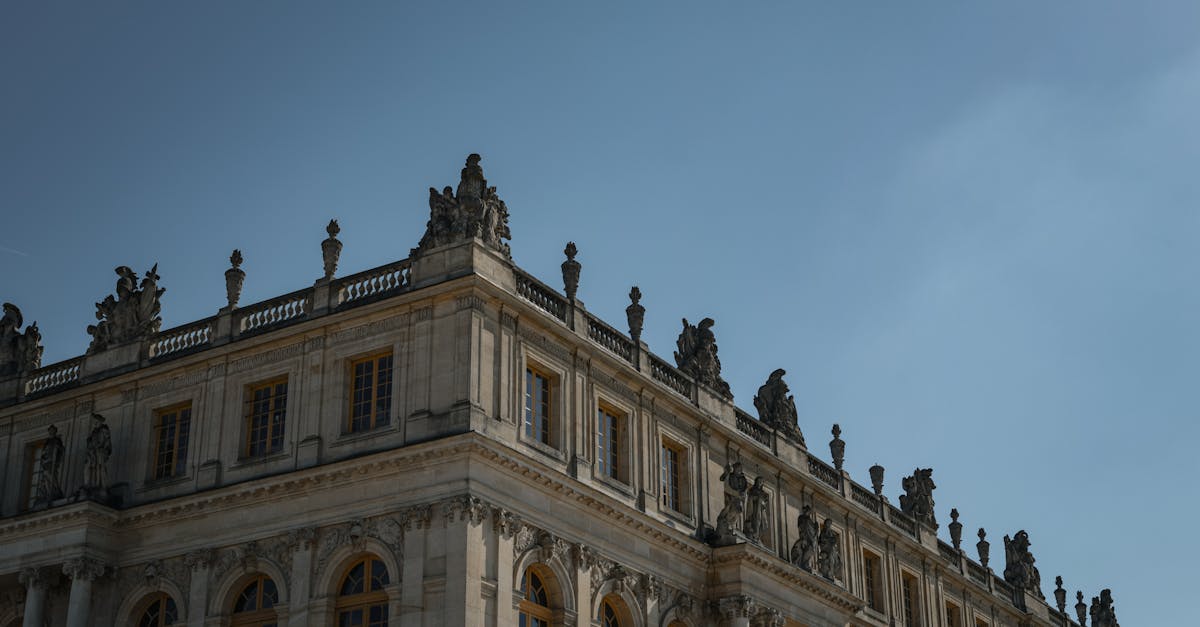 découvrez les réalisations majeures du premier roi de france, son impact historique et son héritage durable.