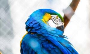 Voici les animés incontournables à découvrir absolument