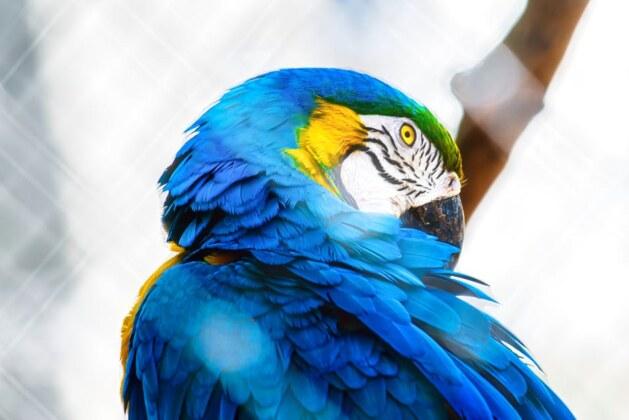 Voici les animés incontournables à découvrir absolument