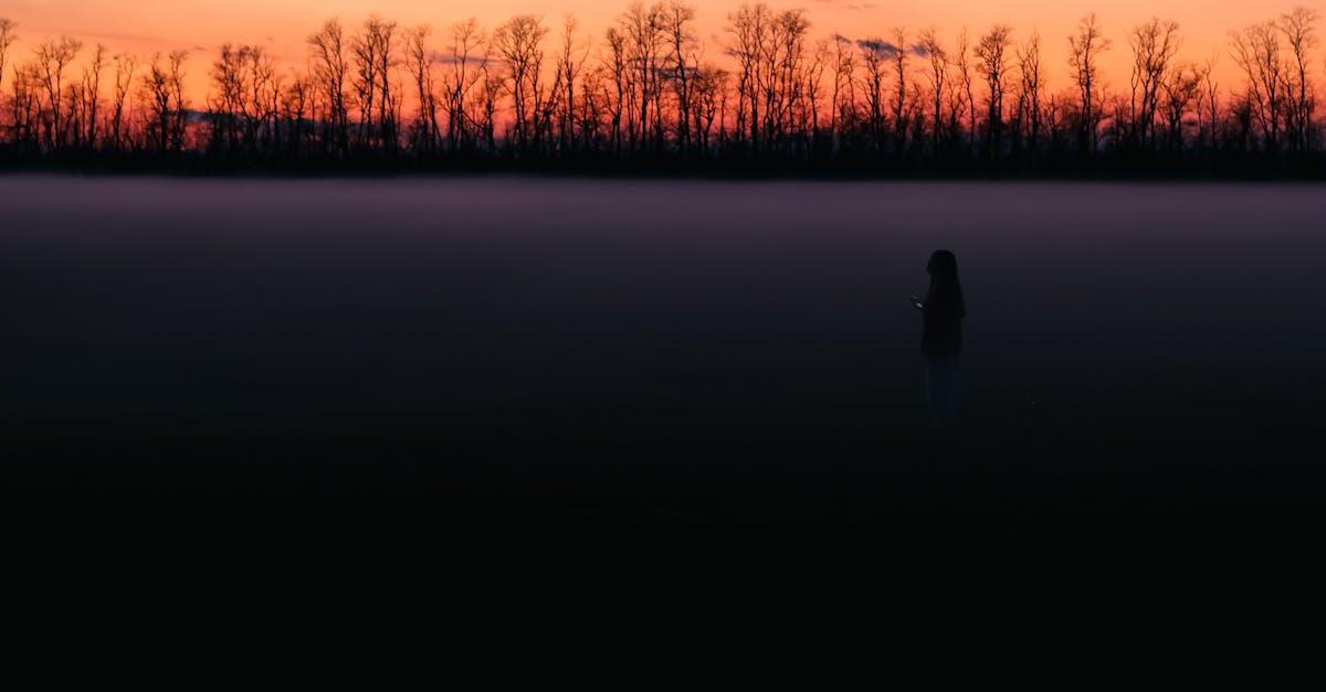 découvrez un paysage mystérieux où la nature révèle ses secrets et invite à l'exploration et à l'émerveillement.