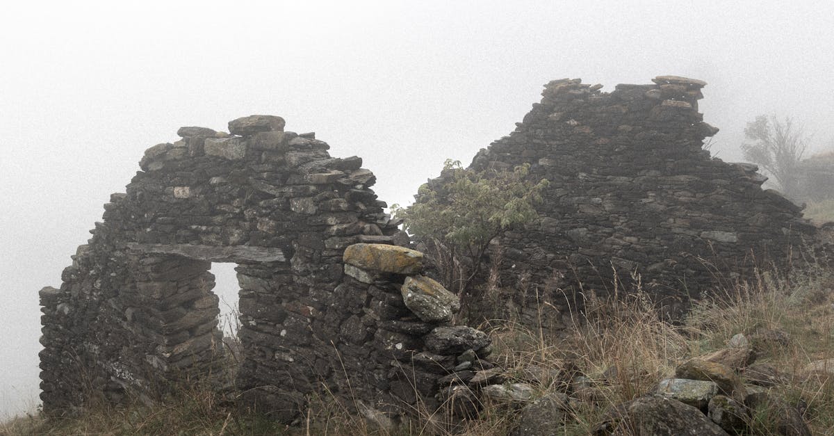 découvrez un paysage mystérieux où chaque détail éveille la curiosité et l'imagination, entre ombres et lumières fascinantes.
