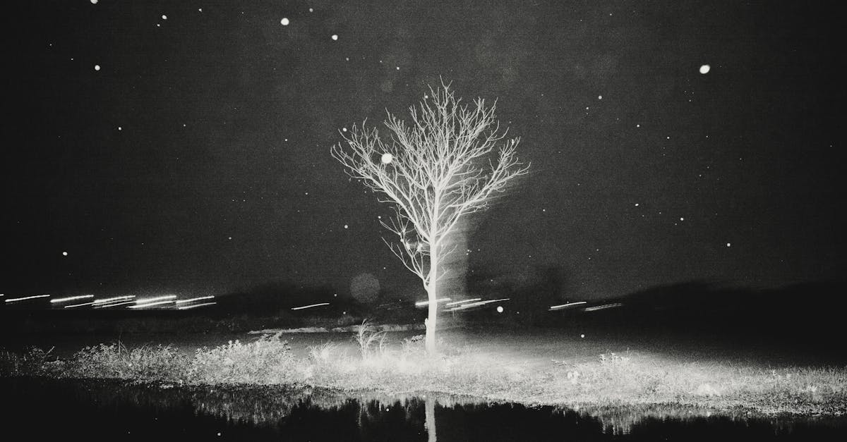 découvrez un paysage mystérieux où la nature révèle ses secrets les plus cachés, invitant à l'exploration et à l'émerveillement.