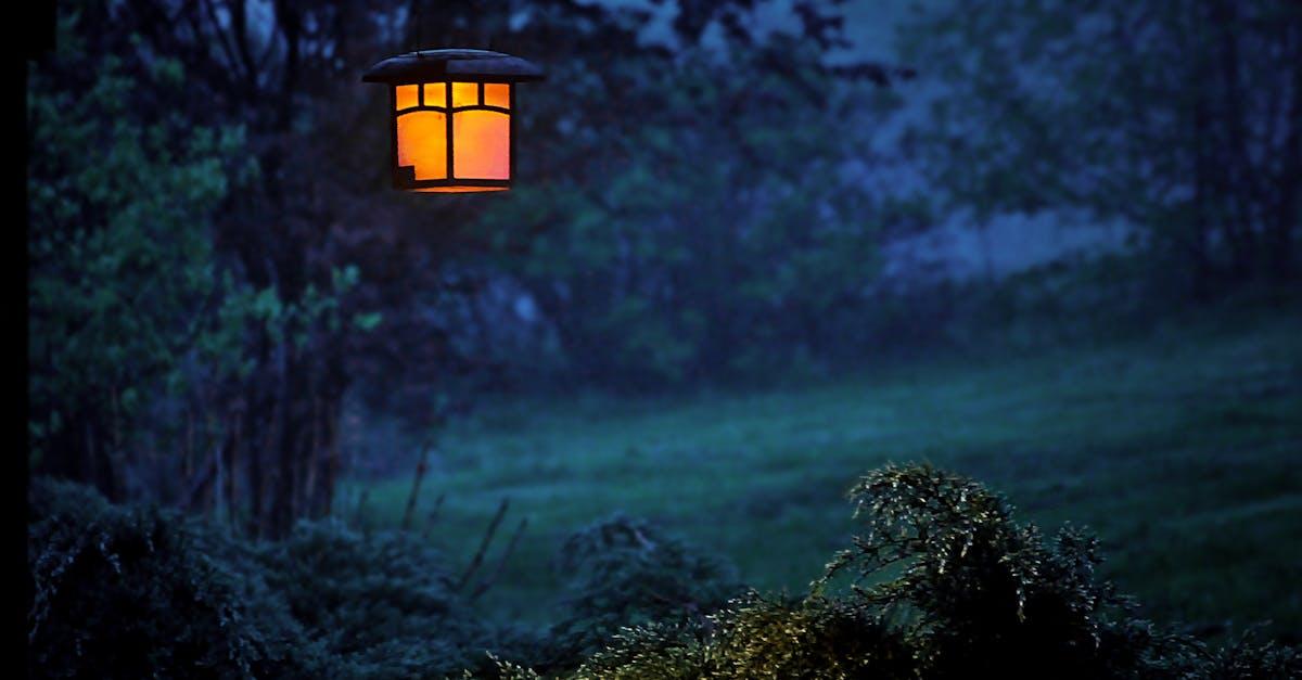 découvrez un paysage mystérieux où chaque détail intrigue et invite à l'aventure et à l'exploration.